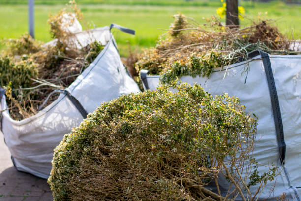 Best Shed Removal  in West Lake Hills, TX